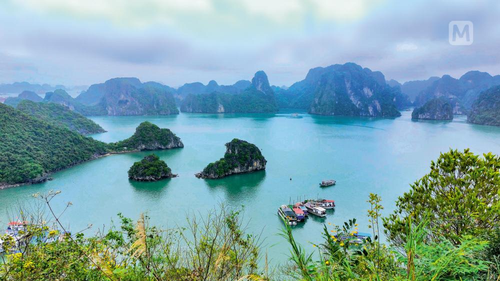 Planning a Vietnam trip? India issues fresh advisory for travellers