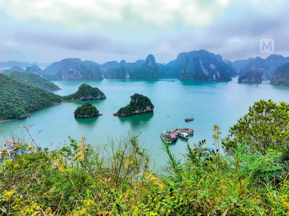 Vietnam | Photo: Mathrubhumi/Vimal Kottakal