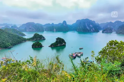 Planning a Vietnam trip? India issues fresh advisory for travellers