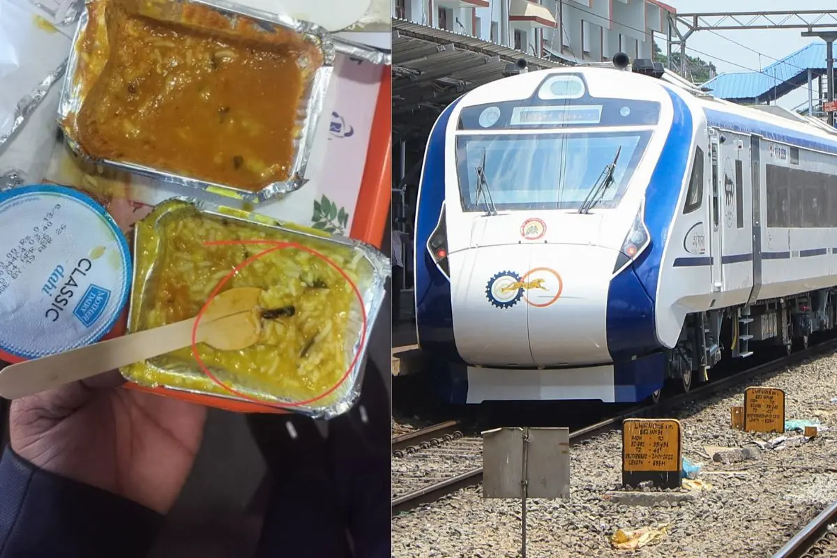 Passenger found a cockroach in a Vande Bharat meal