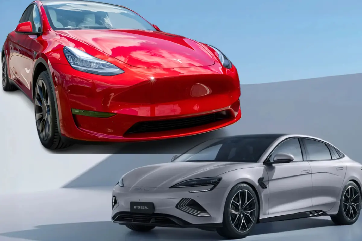 പ്രതീകാത്മക ചിത്രം | Photo: BYD,Tesla