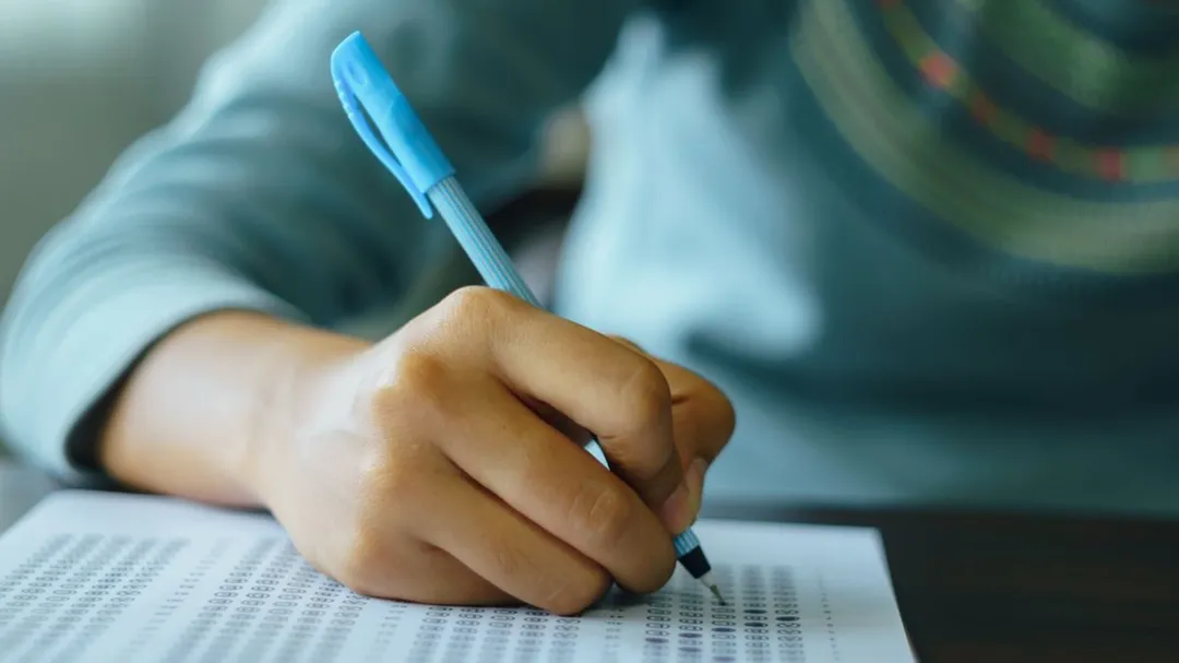 NCET 2026: NTA releases admit cards; know key instructions candidates must follow