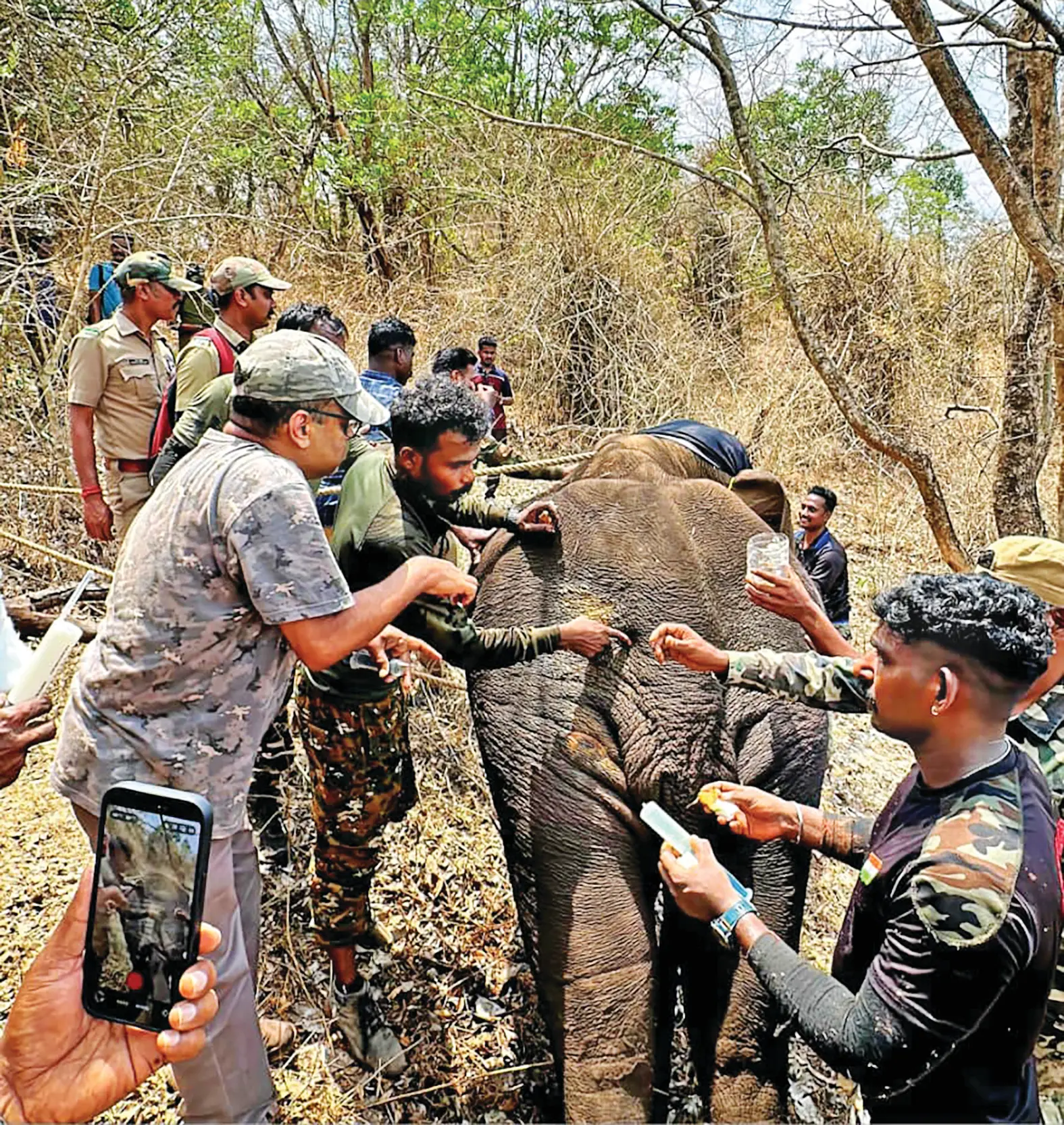 ആനയെ ചികിത്സിക്കുന്ന ഫോറസ്റ്റ് വെറ്ററിനറി ഓഫീസർ ഡോ. ഡേവിഡ് എബ്രഹാം (തൊപ്പി ധരിച്ചത്), സിറിഞ്ചുമായി നിൽക്കുന്നത് ലിജോ കാച്ചേരി