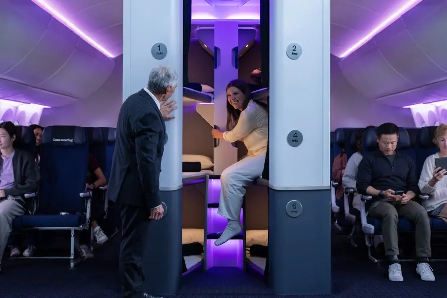Economy Skynest