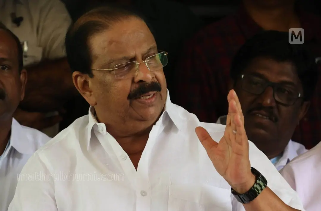 കെ. സുധാകരന് | Photo: Mathrubhumi