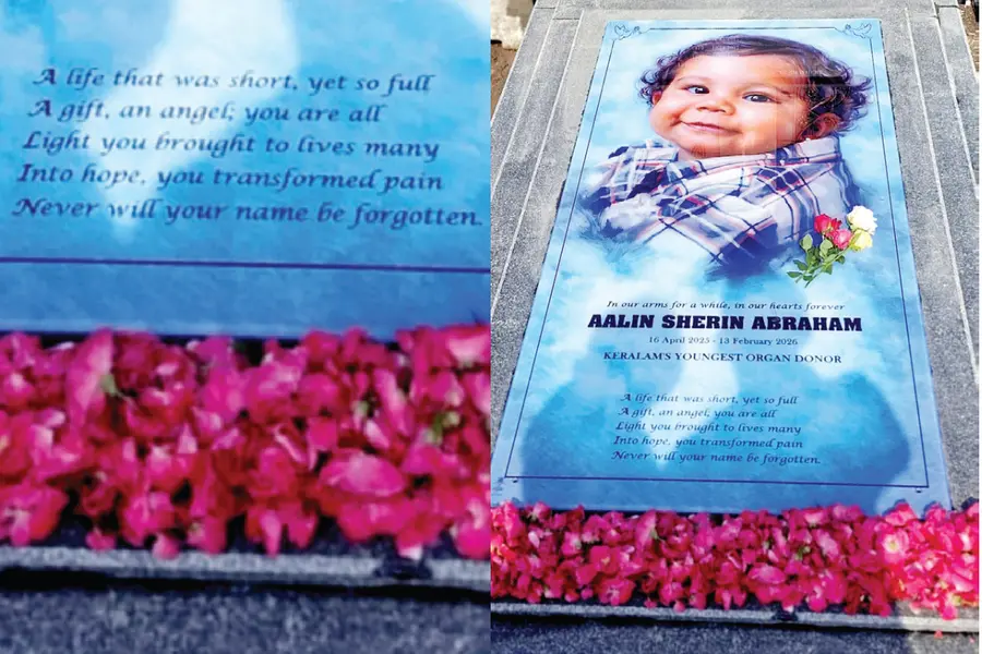 ‘ഈ രാവ് തീരാതെ തുടരുന്നുവോ’; മറ്റുള്ളവരിലൂടെ ജീവിക്കുന്ന ആലിന് ഒന്നാം പിറന്നാൾ