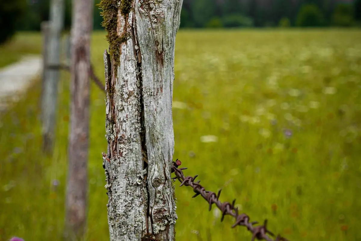 Representational image