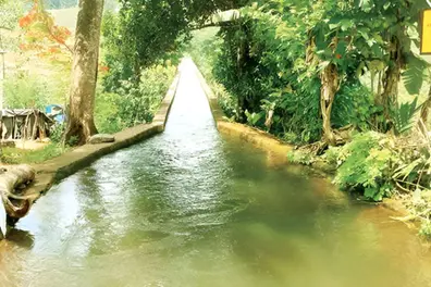 Reels fame draws crowds leading to mishaps, residents step in to guard canal in Pathanamthitta