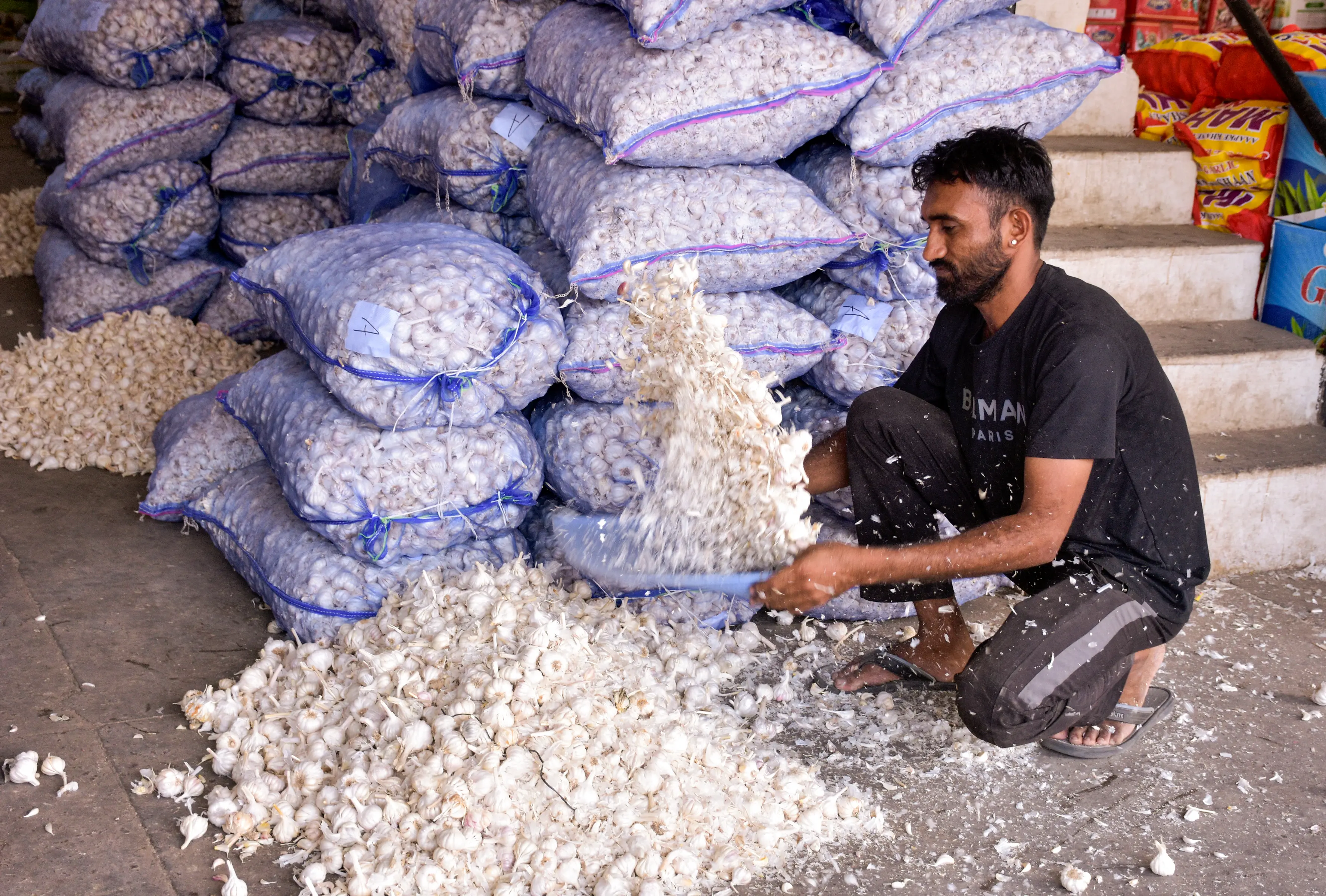 A vendor sorts harvested garlic at APMC Sardar Market in Surat | ANI
