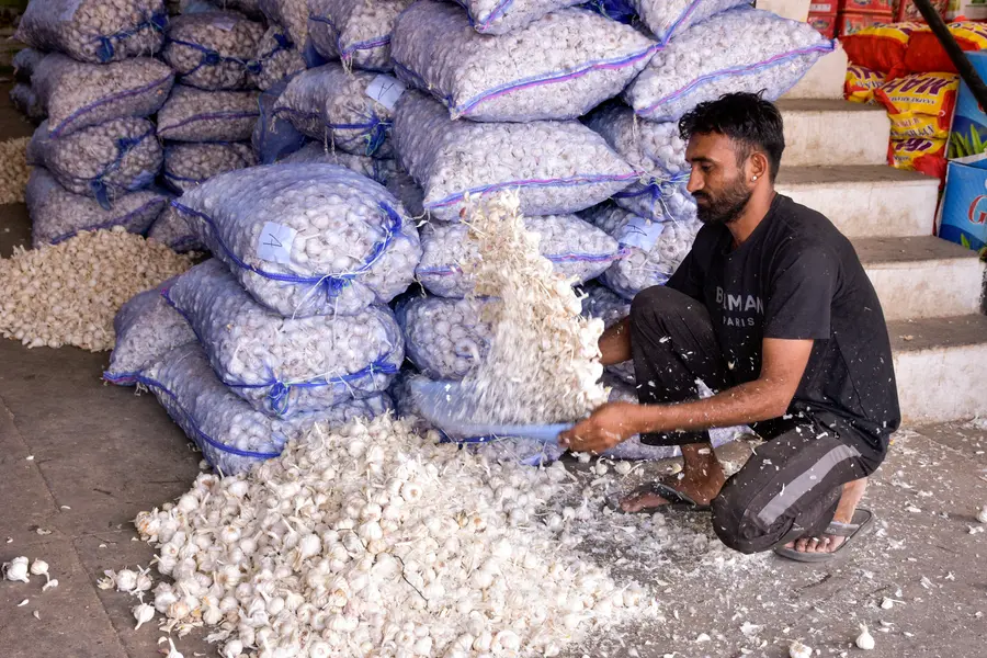 Indian farmer
