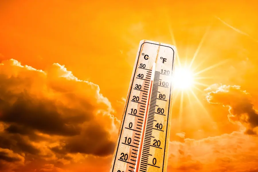 Heatwave grips MP while IMD predicts light rain in select districts