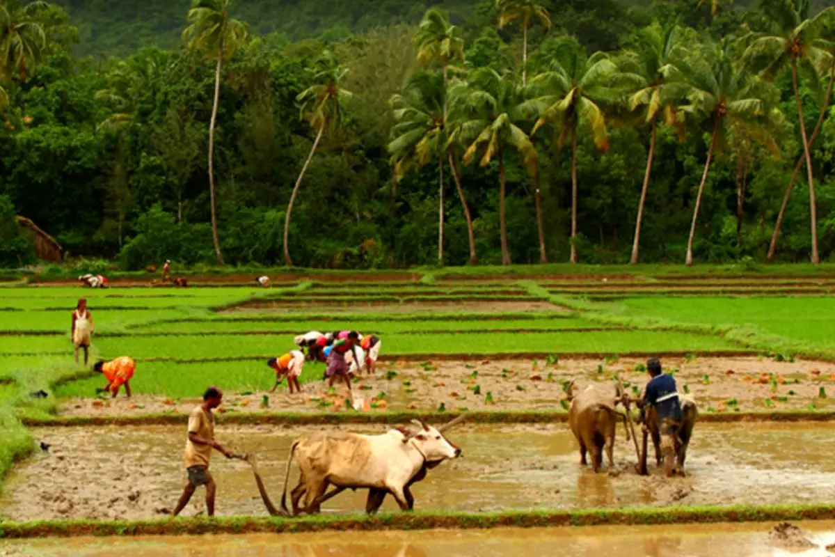 Representative image: PTI