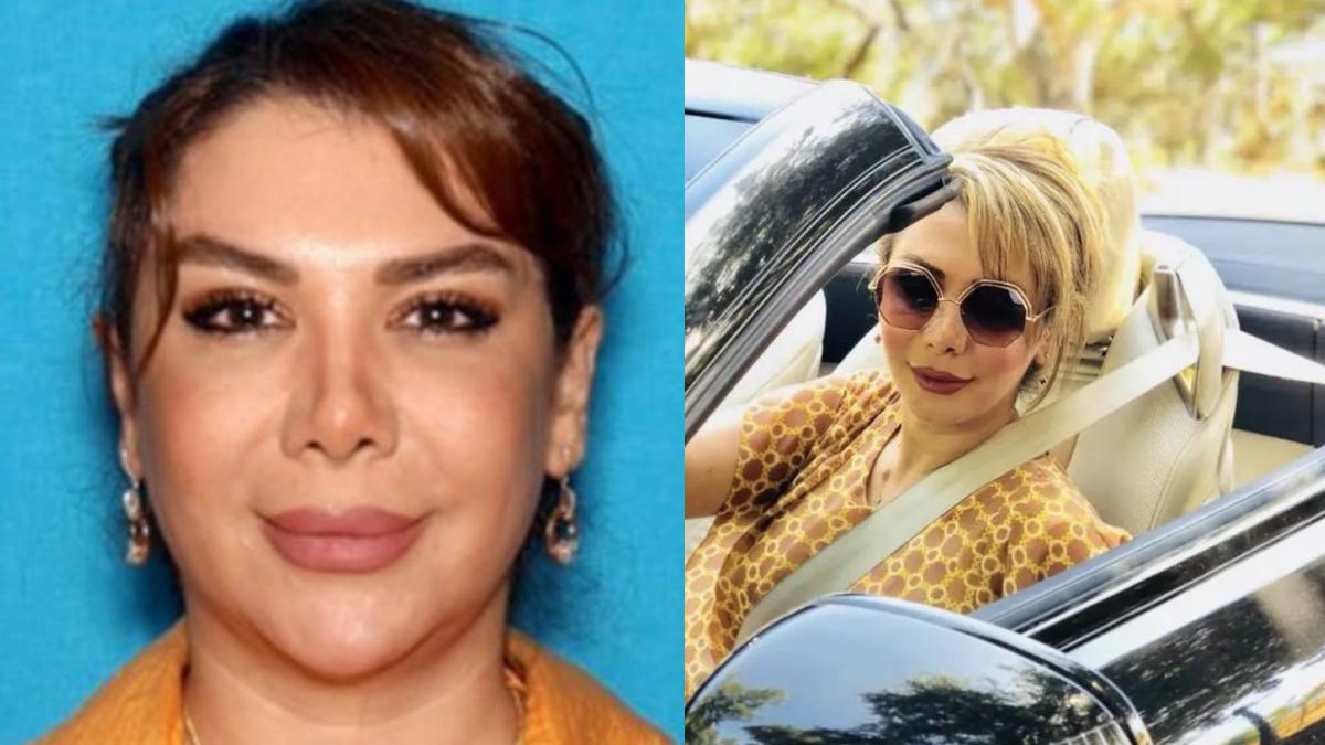 Who is Shamim Mafi? Iranian-origin US resident arrested in Iran-linked drone and weapons case