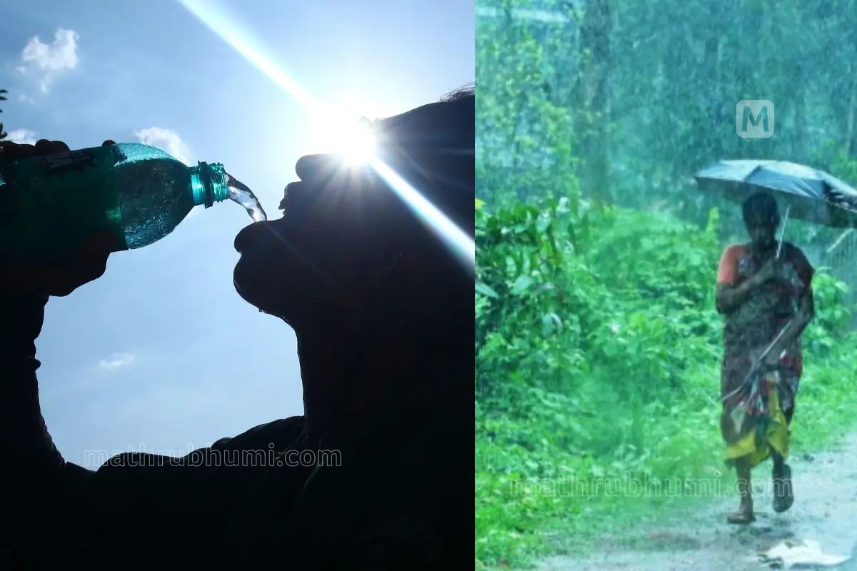 Representational Image| Photo: Mathrubhumi