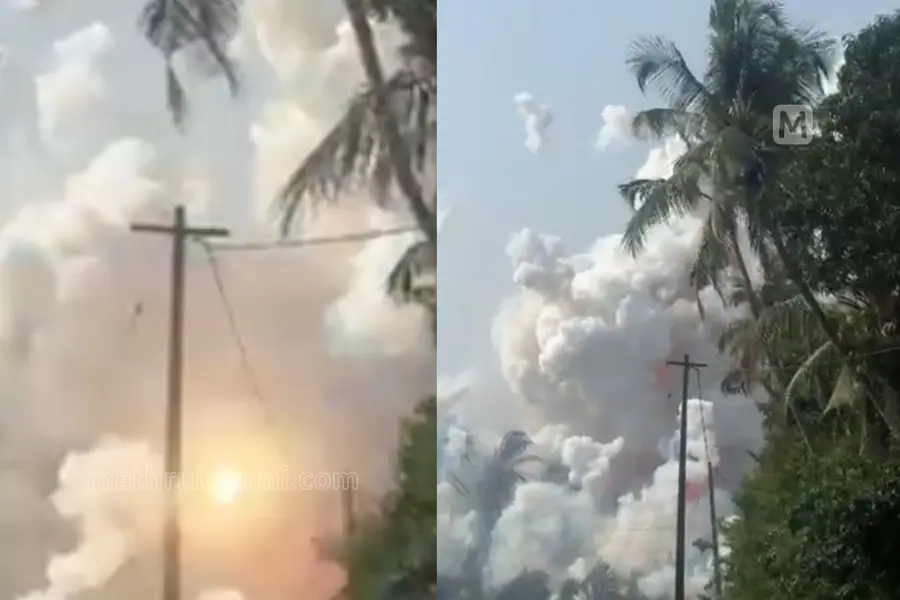 ‘It felt like an earthquake’: Eyewitnesses describe terrifying Thrissur fireworks blast | VIDEO