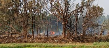 തുടർക്കഥയായി ദുരന്തങ്ങൾ, തുടർന്ന് വെടിക്കെട്ടുകൾ; വിവാദങ്ങളും വ്യവഹാരങ്ങളും സജീവം, നടപടി മാത്രം അകലെ