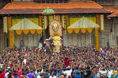 Why elephants are the heart of Thrissur Pooram: Emotion behind Kerala’s grand festival