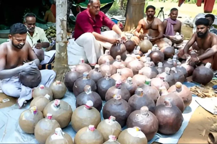 thrissur-pooram-blast