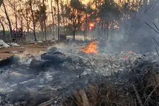 തൃശൂർ ദുരന്തം: മരിച്ചവരുടെ കുടുംബങ്ങൾക്ക് 5 ലക്ഷം രൂപ വീതം ധനസഹായം പ്രഖ്യാപിച്ച് കല്യാൺജൂവലേഴ്‌സ്