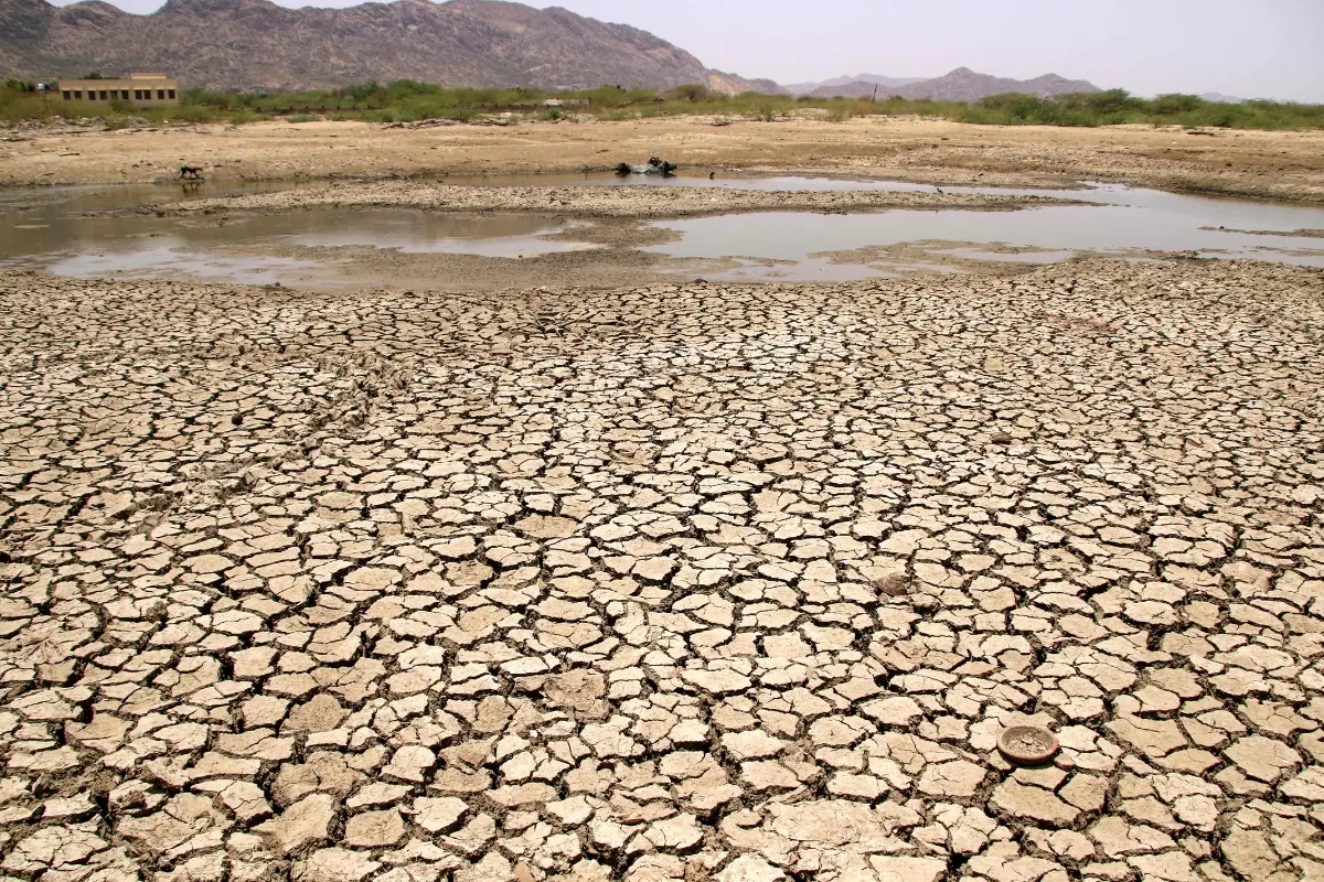 A general view of a lake running dry on a hot summer day near Ajmer.| Photo: AFP
