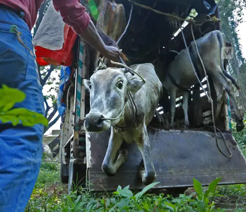 File image | Mathrubhumi