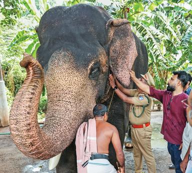 തെക്കേ ഗോപുരനട ഇന്ന് തുറന്നിടും, പൂര വിളംബരത്തിന് എറണാകുളം ശിവകുമാർ, ഞായറാഴ്ച പൂരം