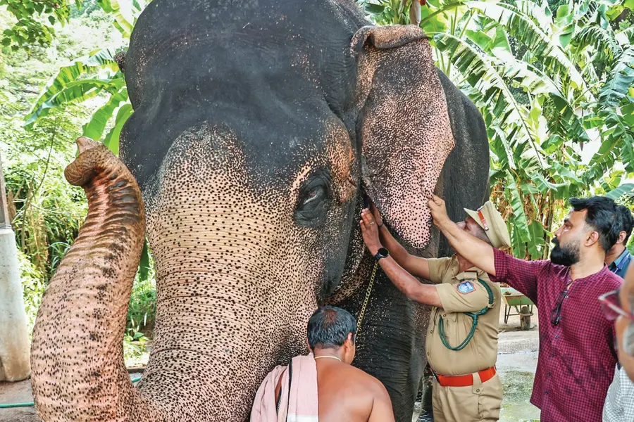 തെക്കേ ഗോപുരനട ഇന്ന് തുറന്നിടും, പൂര വിളംബരത്തിന് എറണാകുളം ശിവകുമാർ, ഞായറാഴ്ച പൂരം