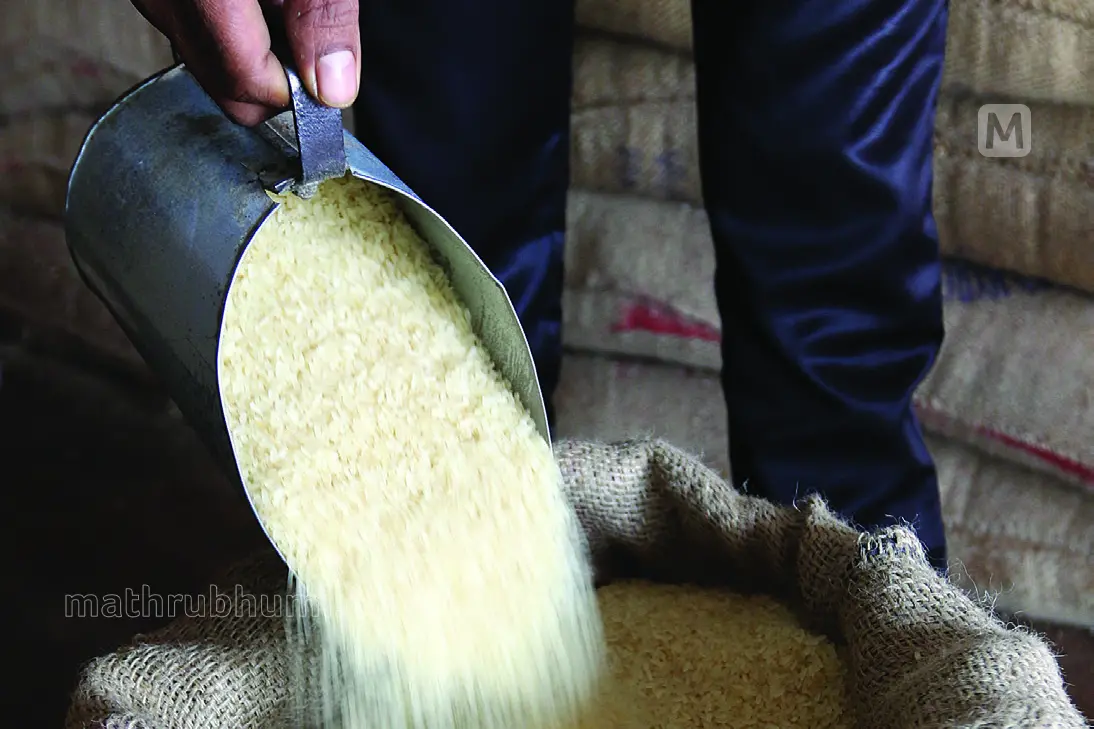 ഇടമലക്കുടിയിൽ 65 മെട്രിക് ടൺ റേഷൻ സാധനങ്ങൾ കാണാതായ സംഭവം: ഉദ്യോഗസ്ഥർക്ക് സസ്‌പെൻഷൻ