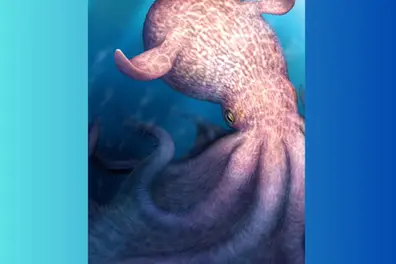 Prehistoric Kraken? 19-metre giant octopus once ruled the dinosaur-era oceans: Study
