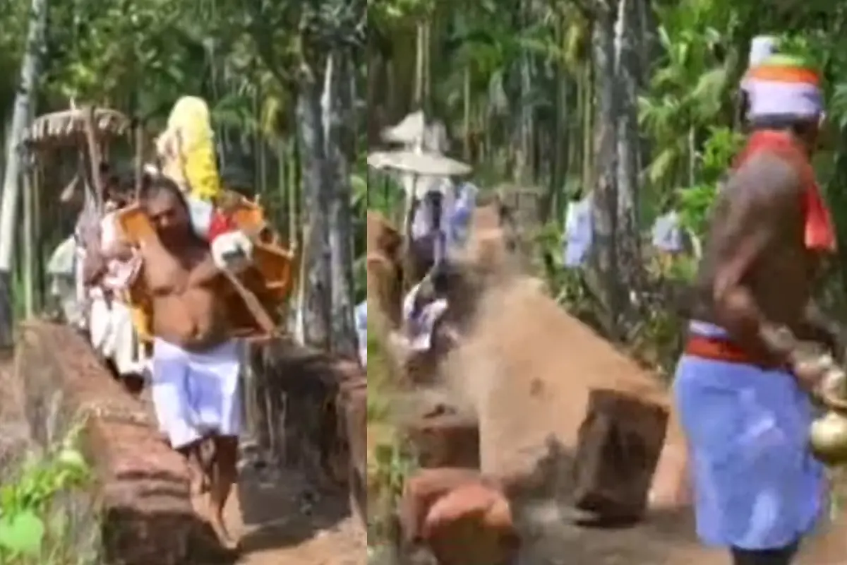 പാലം തകർന്നുവീഴുന്ന ദൃശ്യങ്ങൾ