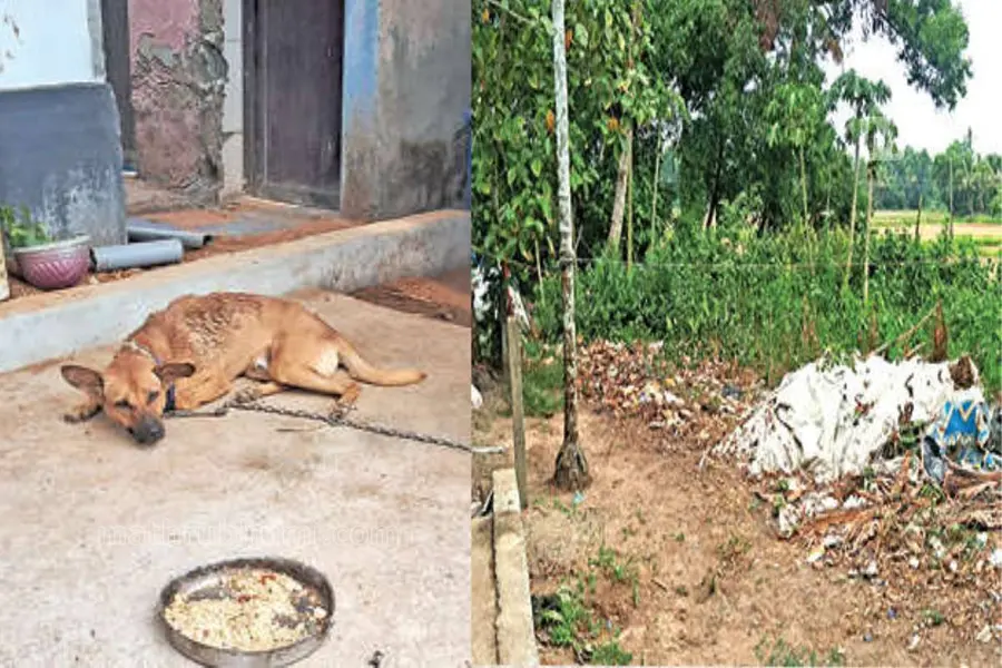 ഷിംബ പലതവണ കുരച്ചു; അപായസൂചന ഇന്ദിര തിരിച്ചറിഞ്ഞില്ല