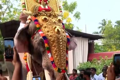 ആചാരപ്പെരുമയിൽ ഘടകപൂരങ്ങൾ; ആവേശക്കടലായി പൂരനഗരി