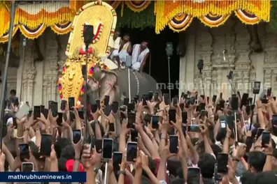Thrissur Pooram fever peaks: Devotees brave heat for grand spectacle; Ramachandran steals the show