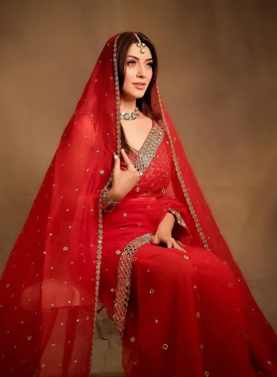 Hansika Motwani | Photo: Instagram