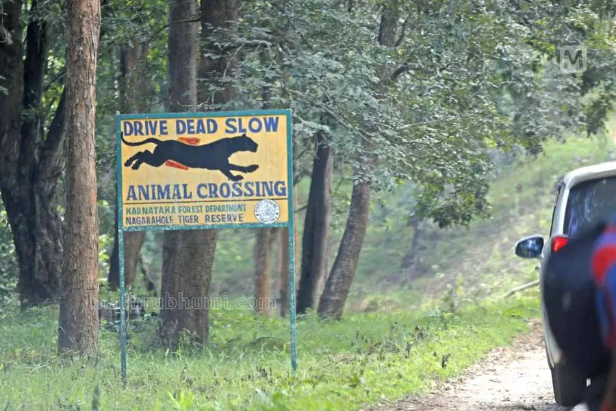 Selfie Ban in Bandipur