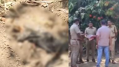 ഇടുക്കിയിൽ ഇരട്ടക്കൊല? അമ്മയും മകനും കൊല്ലപ്പെട്ടതായി സംശയം; പറമ്പിൽനിന്ന് മൃതദേഹഭാഗങ്ങൾ കണ്ടെത്തി
