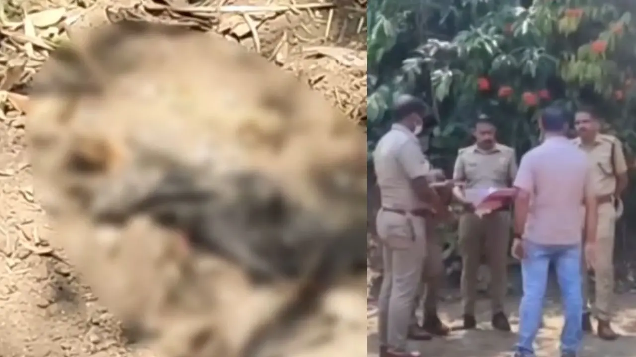 മൃതദേഹാവശിഷ്ടം, സ്ഥലത്ത് പോലീസ് പരിശോധന നടത്തുന്നു