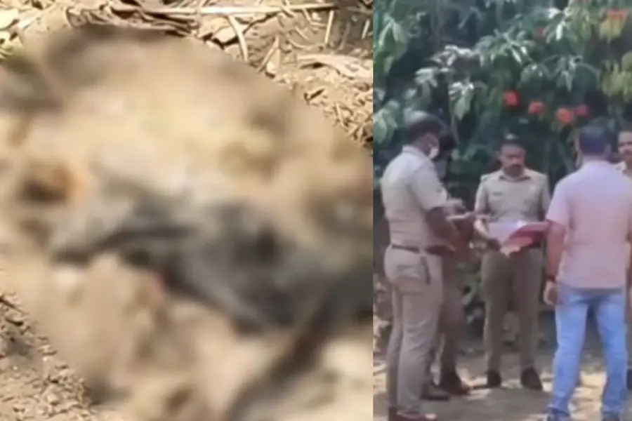 Idukki-Murder