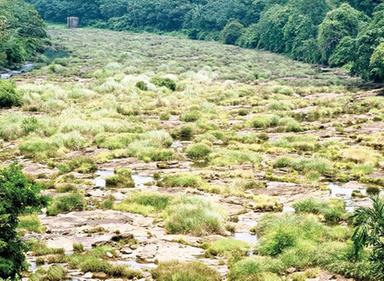 കുടിവെള്ളത്തിനായി നെട്ടോട്ടം വെച്ചൂച്ചിറയിൽ ജലക്ഷാമം അതിരൂക്ഷം