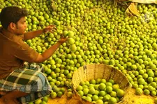 കുതിച്ചുയർന്ന് ചെറുനാരങ്ങ വില; കിലോയ്ക്ക് 270 രൂപ