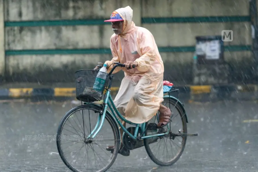 Kerala summer rain update: Heavy showers expected in 8 districts this week
