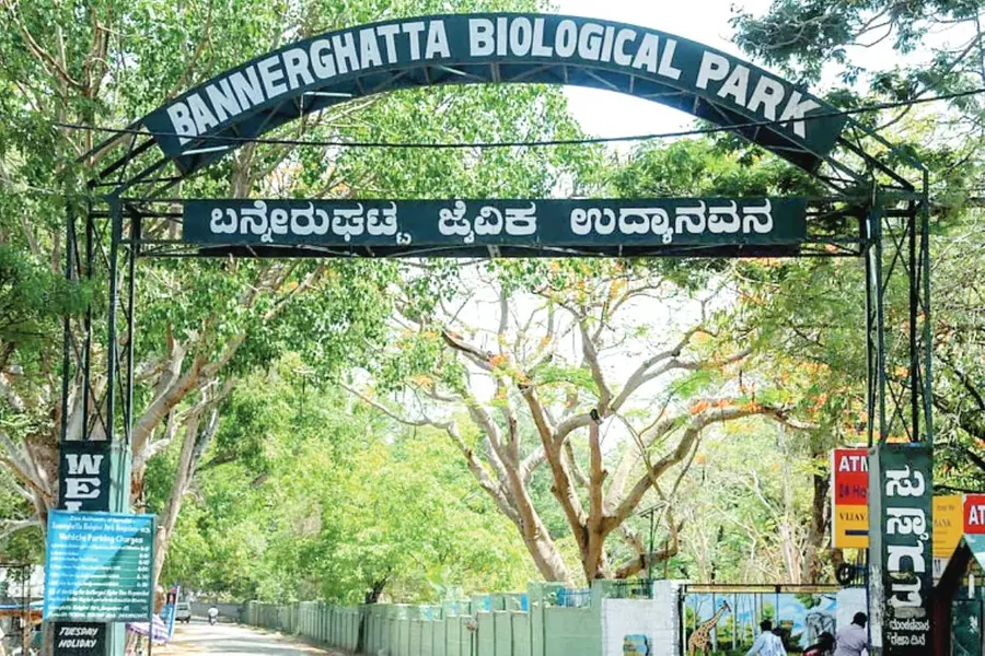 Bannerghatta Biological Park