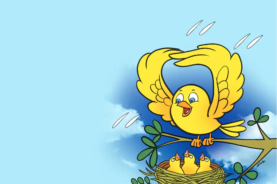 bird