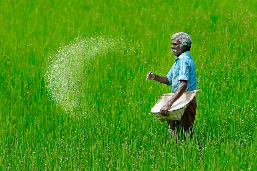 പശ്ചിമേഷ്യൻസംഘർഷം: രാജ്യത്ത് വളം ഉത്പാദനം കുറയുന്നു