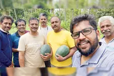 ഐ.ടി.യിൽനിന്ന് കൃഷിയിലേക്ക്; സൗഹൃദക്കൂട്ടായ്‌മയിൽ വിളഞ്ഞത് 40 ടൺ ‘ഷുഗർക്വീൻ’