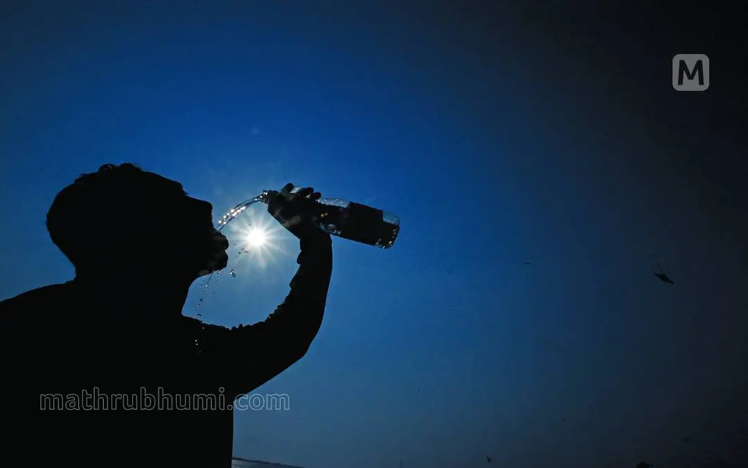 Representative Image| Photo: Mathrubhumi