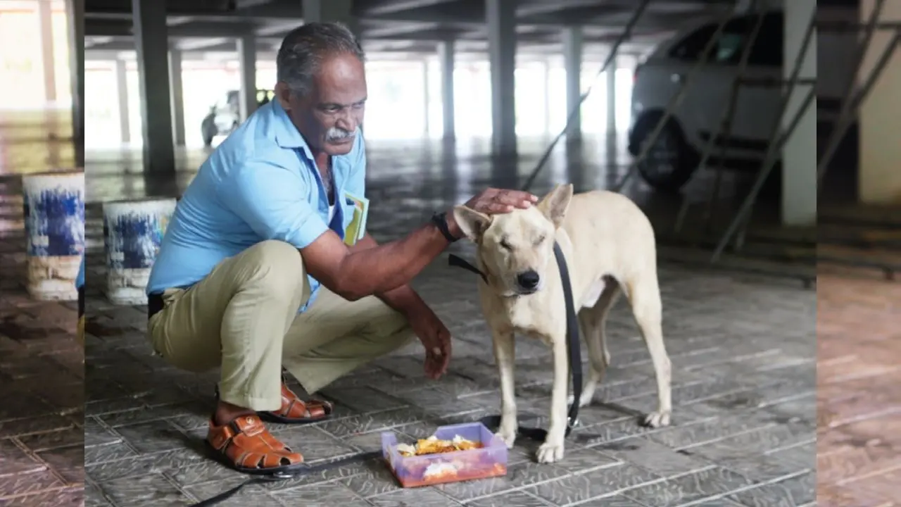 അപകടത്തിൽ രണ്ടുകണ്ണിന്റെയും കാഴ്ച നഷ്ടപ്പെട്ട നായ കുട്ടനെ പരിപാലിക്കുന്ന ഇൻഡോർ സ്റ്റേഡിയത്തിലെ സെക്യൂരിറ്റി ജീവനക്കാരൻ കണ്ണൻ
