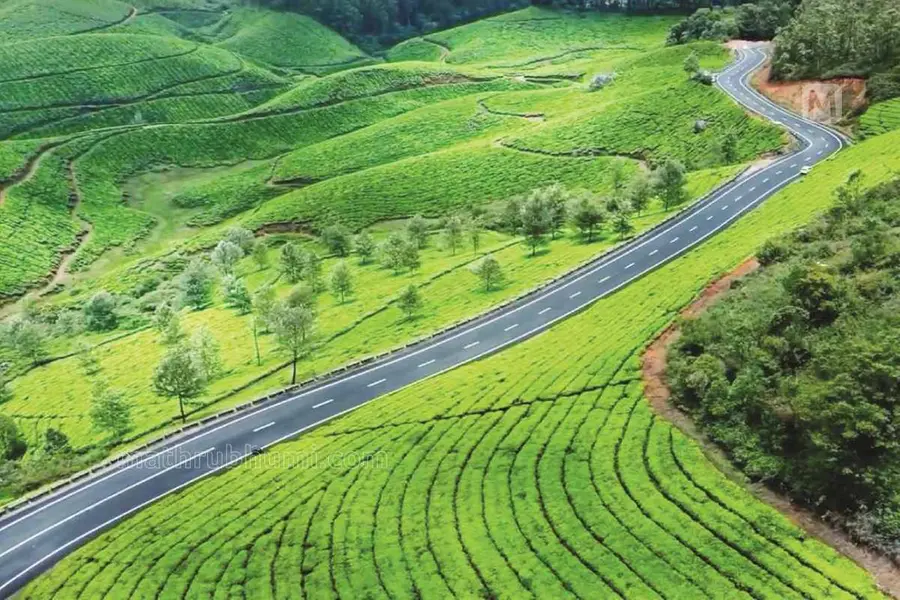 Munnar UV Alert