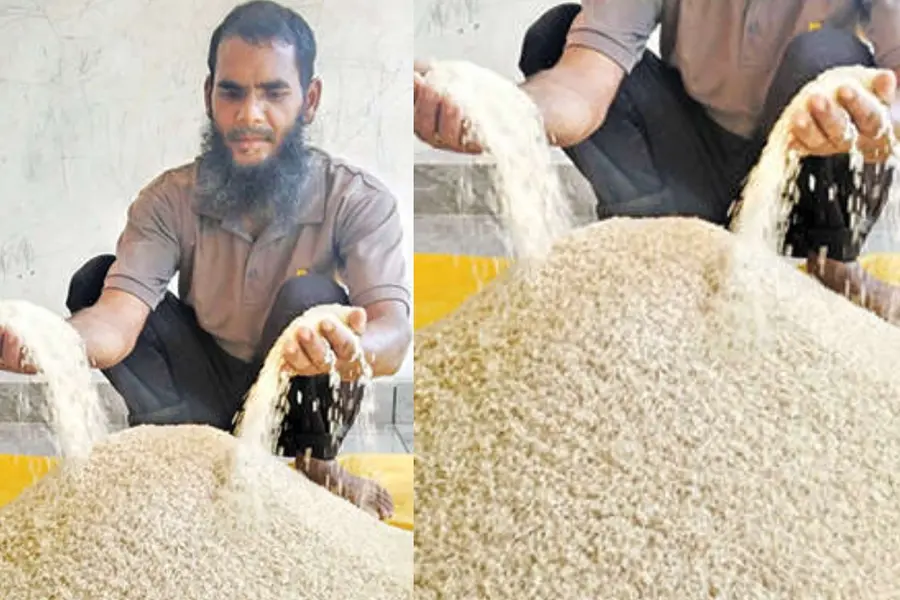 “ഈ പാടം എനിക്ക് കൃഷിചെയ്യാൻ തരുമോ”; കുഞ്ഞമ്മദ് സമ്മതം മൂളി, മണ്ണിൽ പൊന്നുവിളയിച്ച് അതിഥി തൊഴിലാളി