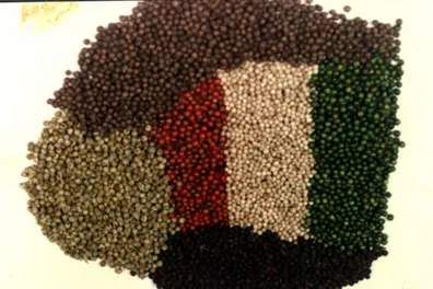 Spices are the key to a renewed export future
